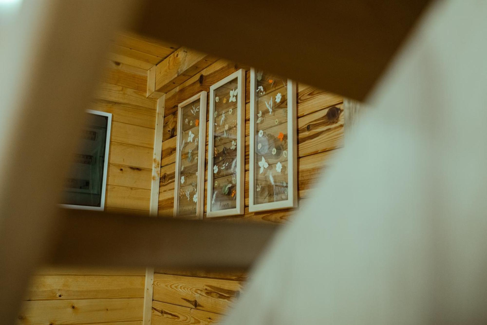 Vila Planinska Kuca Zaliv Zaovine Exteriér fotografie